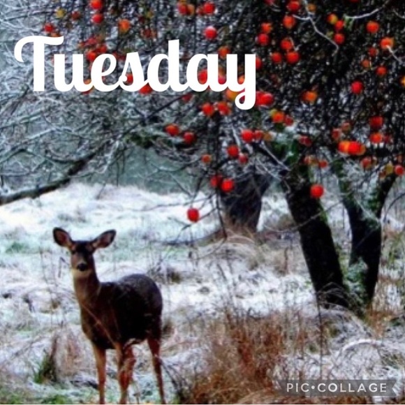 ⭐️TUESDAY SHARE GROUPS⭐️ - Picture 6 of 6